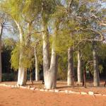 Andasibe to Berenty: Madagascar’s ecological contrasts