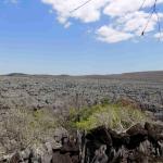 Ankarana & Montagne d’Ambre: Geological marvels