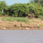 Tsiribihina canoe trip & Bemaraha Tsingy: River adventure