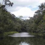 3-Days Andasibe Tour : Rainforest exploration