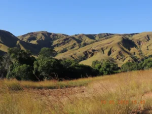 Landscape in the north