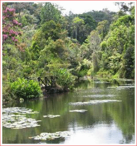 andasibe-mantadia2026